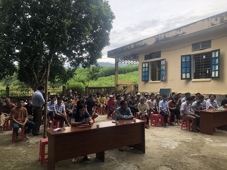 Toàn canh 1.jpg